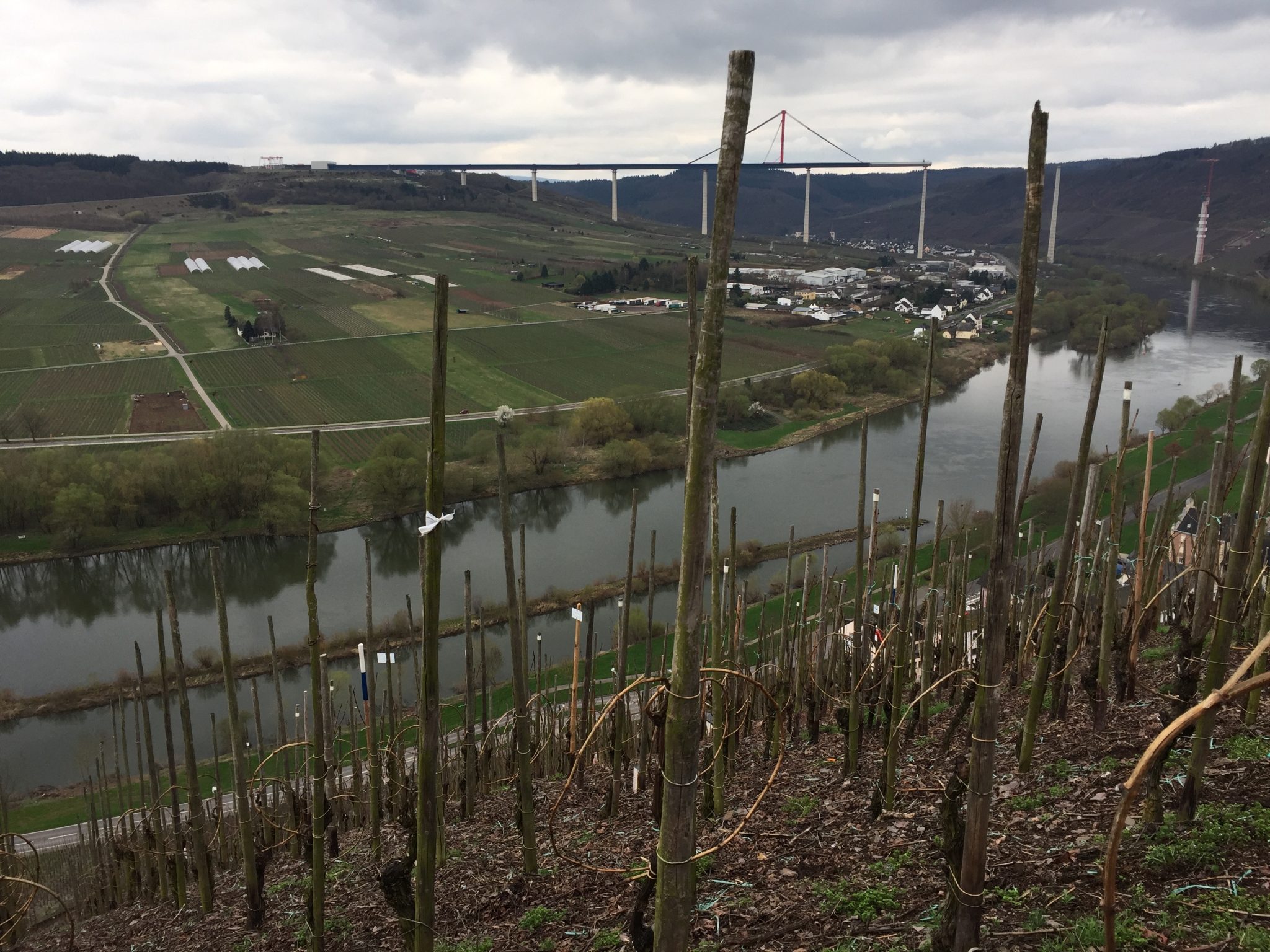 Diário do Winehunter