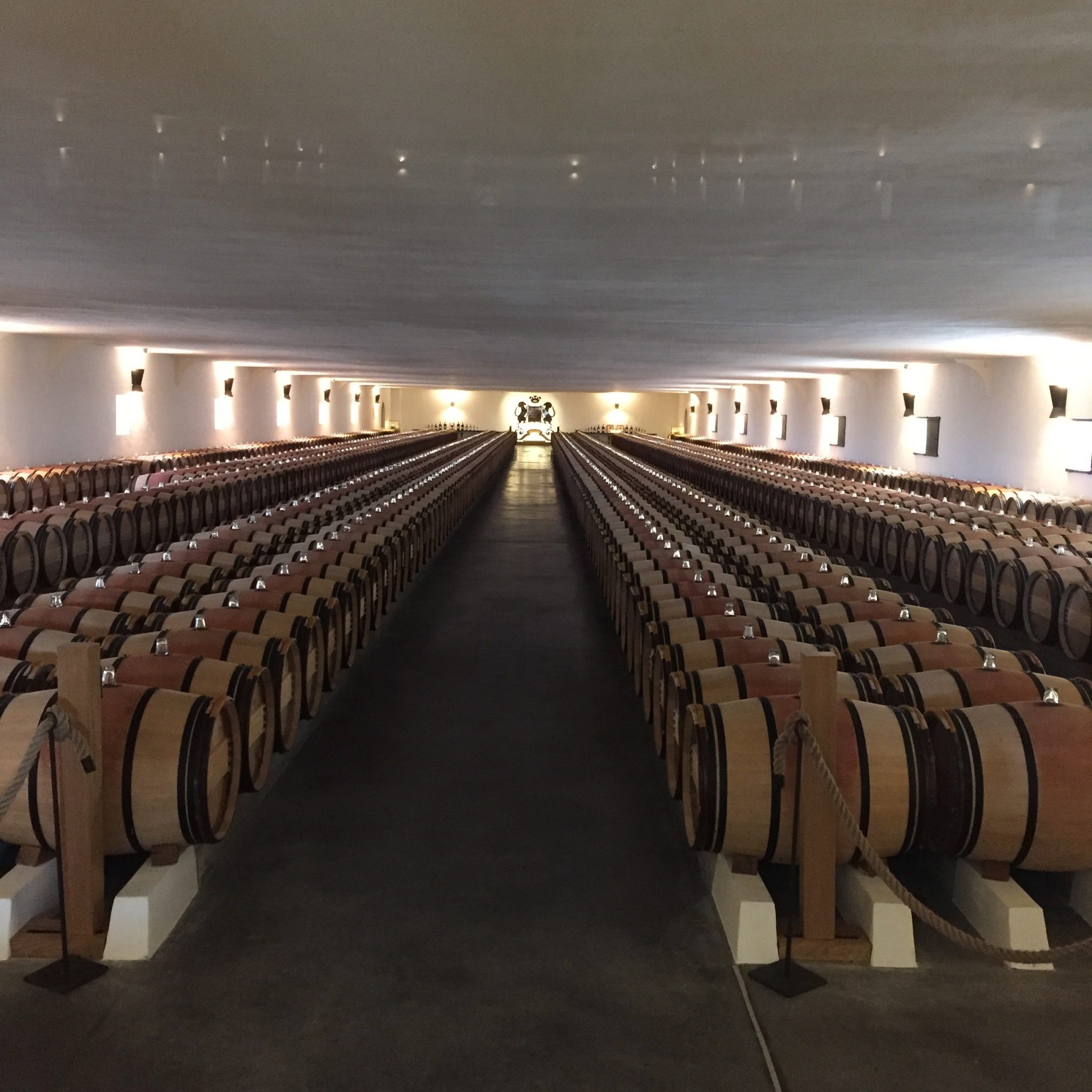 Diário do Winehunter