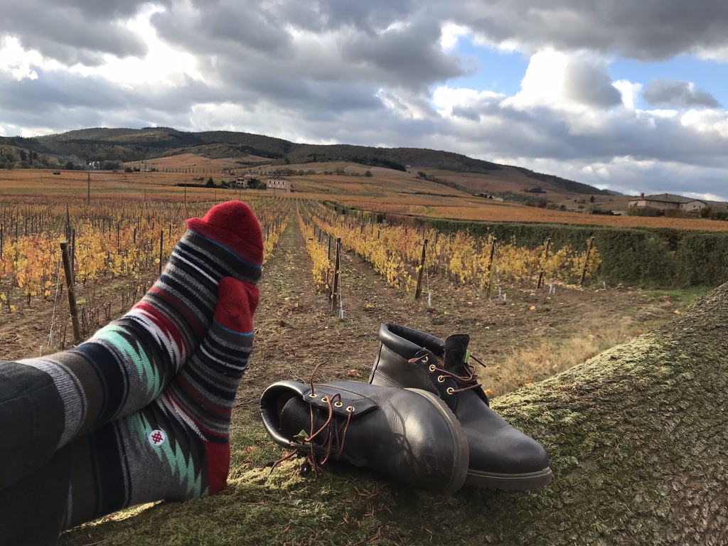 Diário do Winehunter