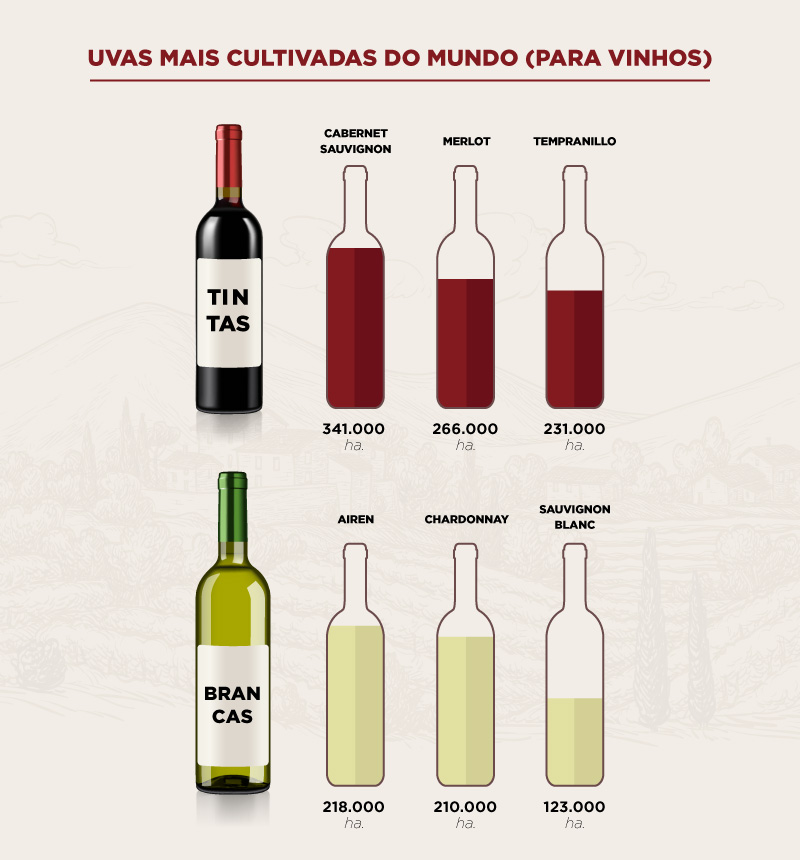 Tabela com as uvas para fazer vinhos mais cultivadas do mundo